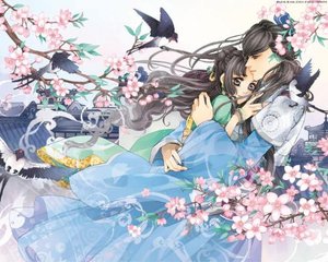 流氓软件大全免费